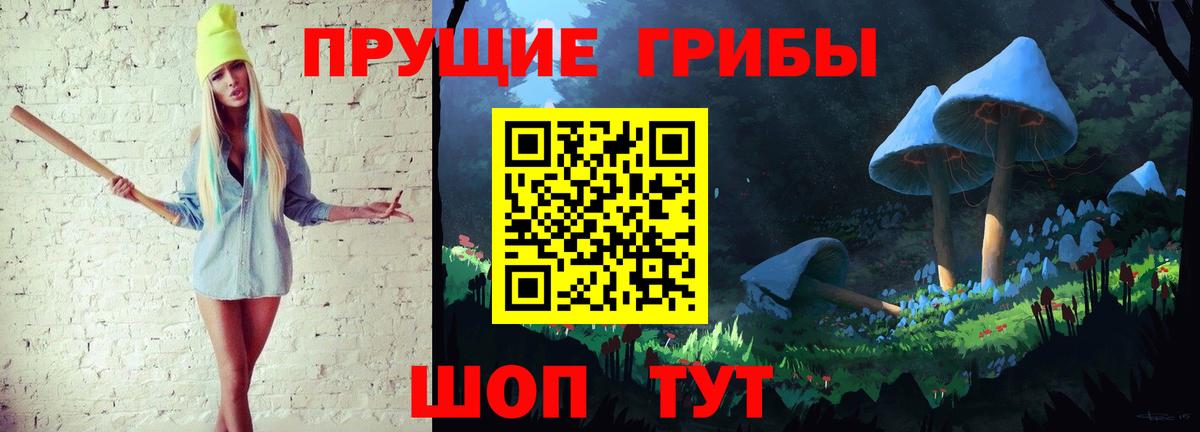 Псилоцибиновые грибы Cubensis Санкт-Петербург