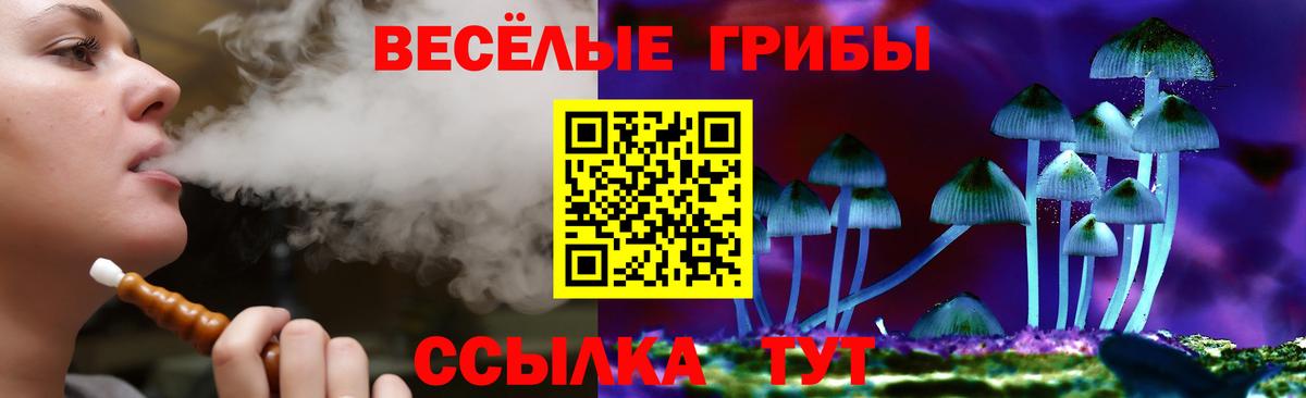 Галлюциногенные грибы GOLDEN TEACHER  Галлюциногенные грибы Psilocybine cubensis  Вход с VPN  Санкт-Петербург 